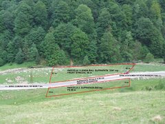 Raul Mare Retezat, spre statiunea de schi Rausor, Judetul Hunedoara